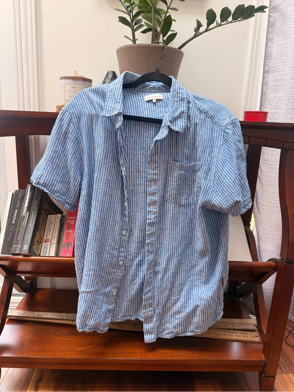 Light Blue Striped Short-Sleeve Button-Up Shirt